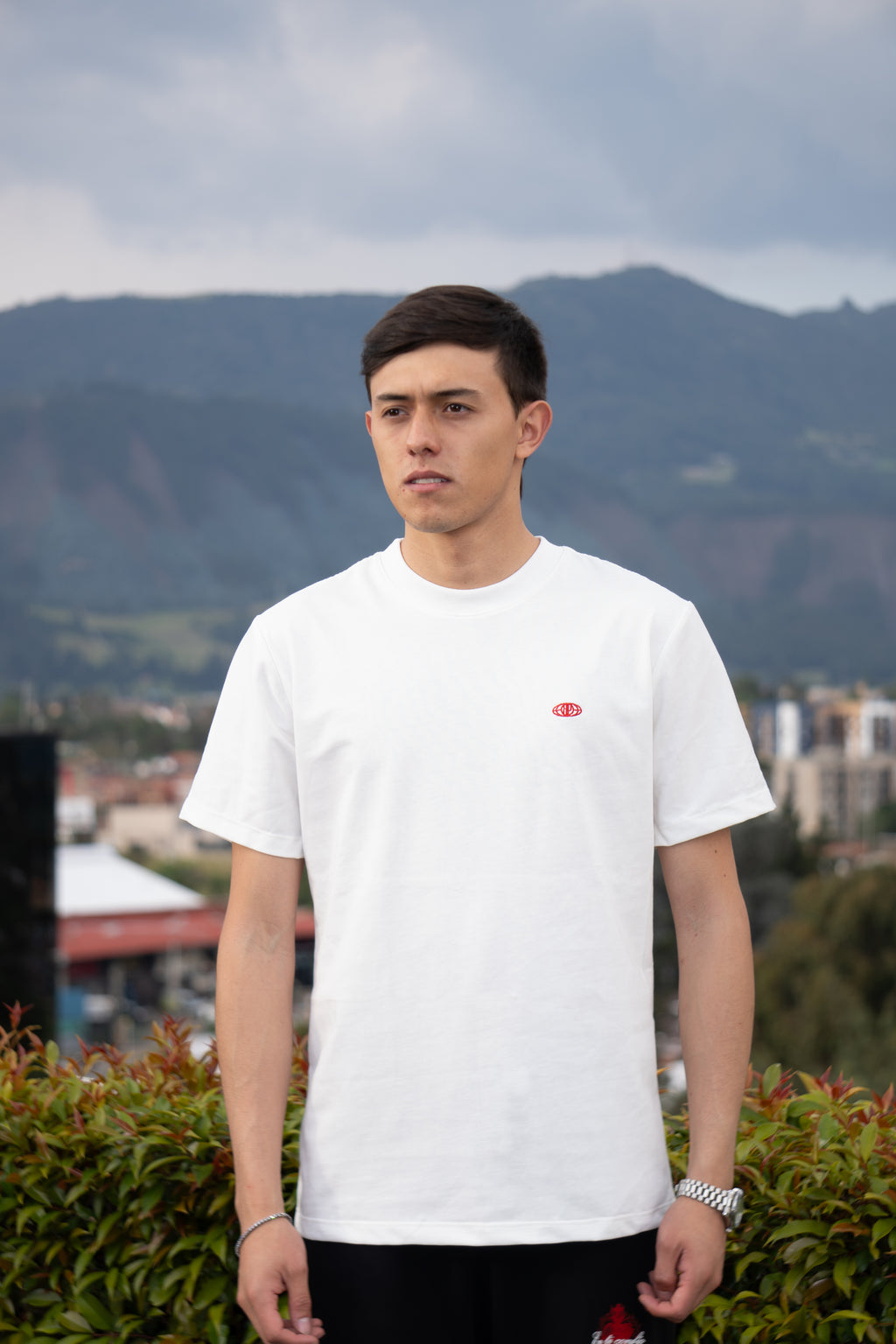 Camiseta Regular Fit Premium “Raices profundas” Ivory